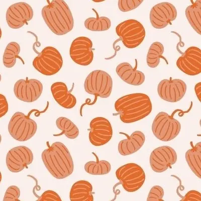 Pumpkins on pink background