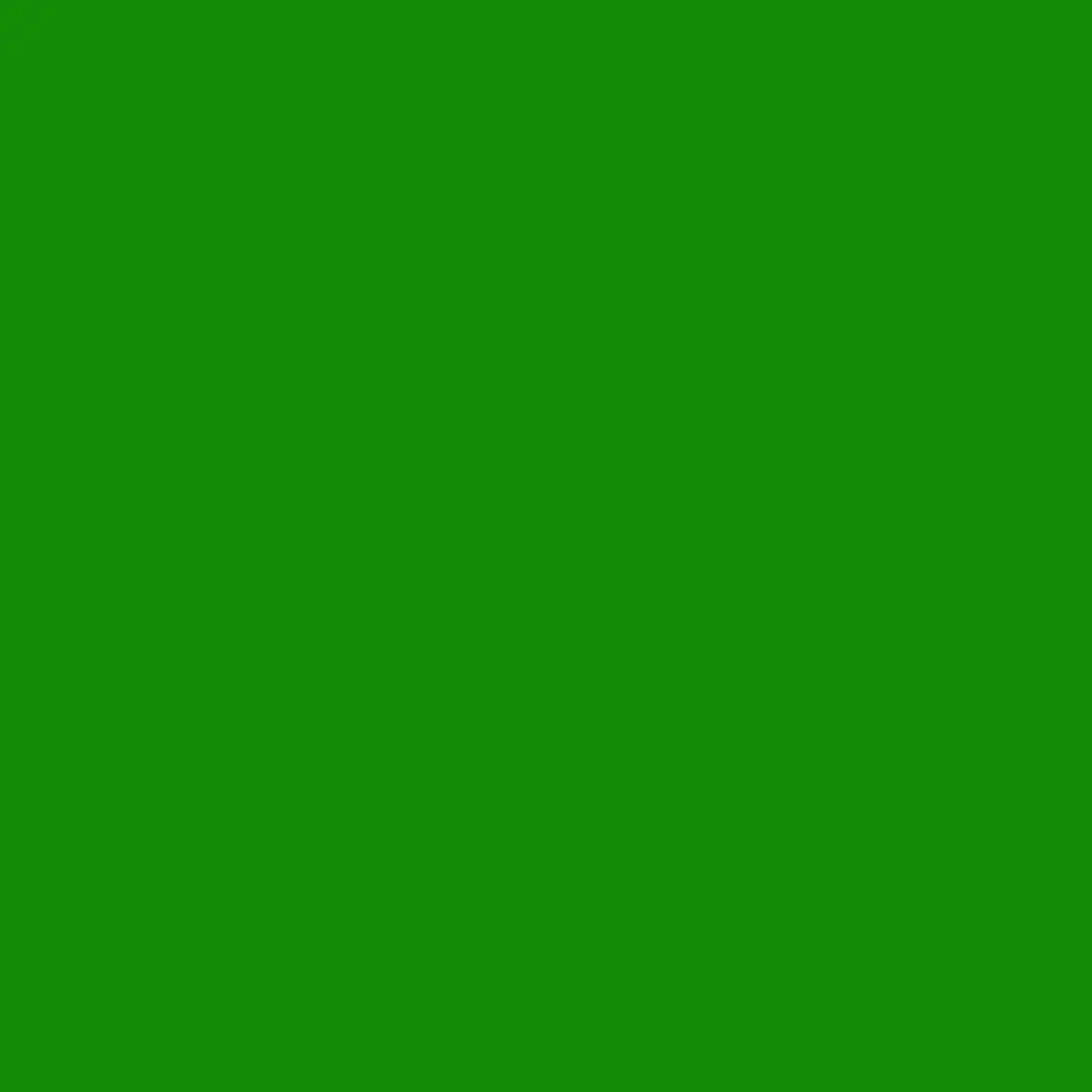 Kelly green color swatch