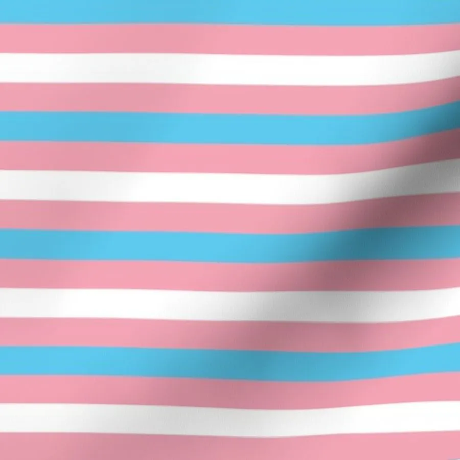 Trans LGBT Pride Flag Fabric Fabric